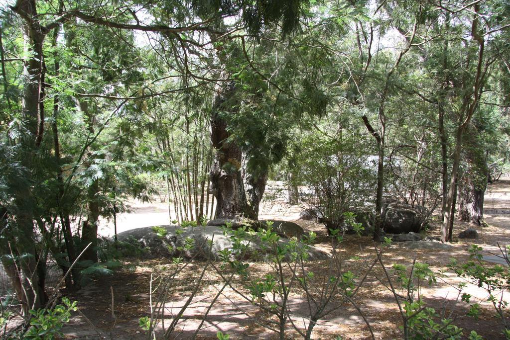 Camping Les Ilots D'Or Porto-Vecchio  Luaran gambar